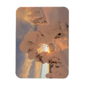 Schneeghost in der Whitefish Range Magnet (Vertikal)