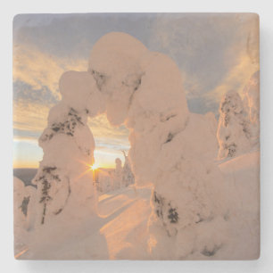 Schneeghost in der Whitefish Range Steinuntersetzer