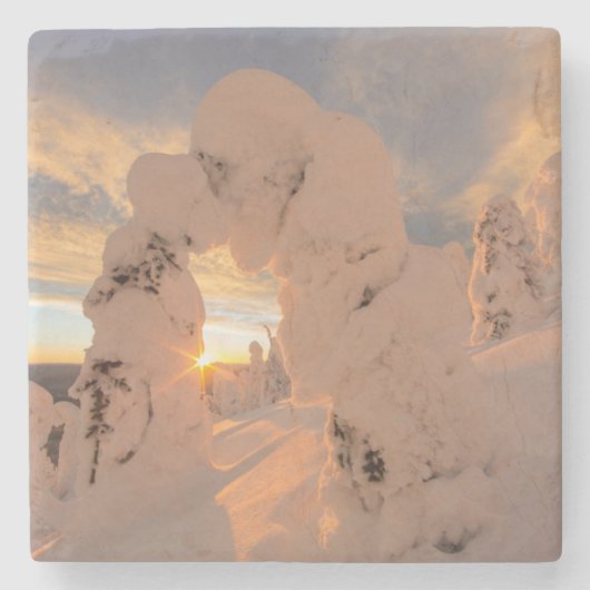 Schneeghost in der Whitefish Range Steinuntersetzer (Vorderseite)