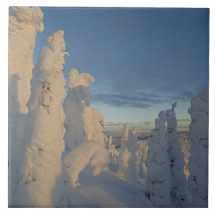 Schneeghosts bei Sonnenuntergang am Whitefish Moun Fliese