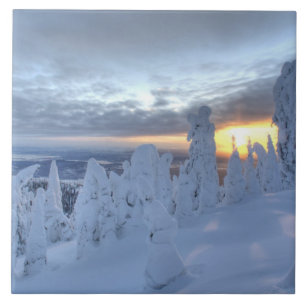 Schneeghosts bei Sonnenuntergang am Whitefish Moun Fliese