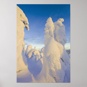 Schneeghosts bei Sonnenuntergang am Whitefish Moun Poster