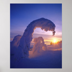 Schneeghosts in der Whitefish Range in Montana Poster