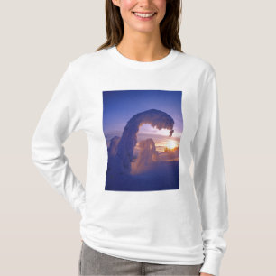 Schneeghosts in der Whitefish Range in Montana T-Shirt