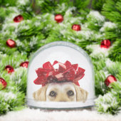 SCHNEEGLOBE MIT GELBEN LABRADOR RETRIEVER SCHNEEKUGELN (Weihnachten)