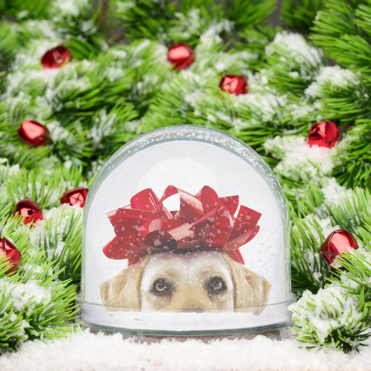SCHNEEGLOBE MIT GELBEN LABRADOR RETRIEVER SCHNEEKUGELN (Weihnachten)