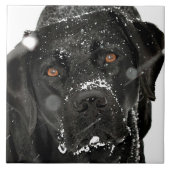 Schneeglobe - Schneehund - Schwarzer Labrador Fliese (Vorderseite)