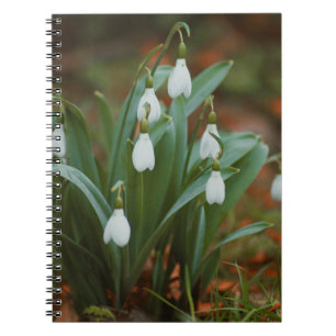 Schneeglöckchen-Blumen Spiral Foto Notizbuch Notizblock