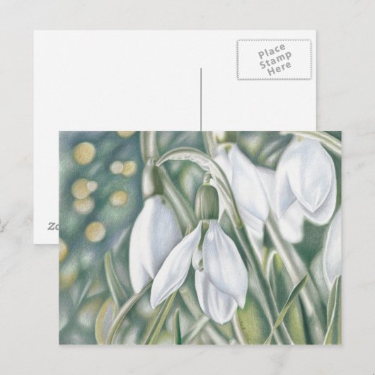 Schneeglöckchen - Farbstiftzeichnung Postkarte (Vorne/Hinten)