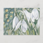 Schneeglöckchen - Farbstiftzeichnung Postkarte (Vorderseite)