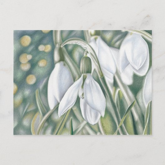 Schneeglöckchen - Farbstiftzeichnung Postkarte (Vorderseite)