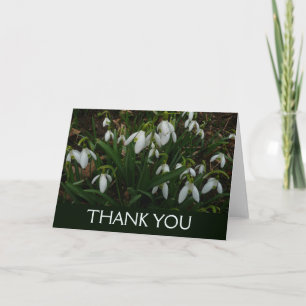 Schneeglöckchen I (Galanthus) Weiße Frühlingsblume Dankeskarte