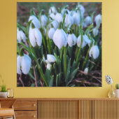Schneeglöckchen leinwanddruck (Insitu (Wohnzimmer))