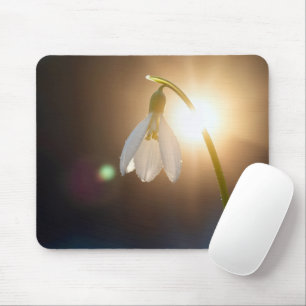 Schneeglöckchen mit Tautropfen im Sonnenlicht Mousepad