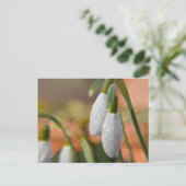 Schneeglöckchen Postkarte (Stehend Vorderseite)