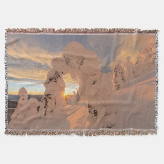 Schneegurken im Weißfischbereich Decke (Vorderseite)