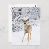 Schneehändler Postkarte (Vorne/Hinten)