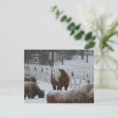 Schneehase, Frohe Weihnachten! Feiertagskarte (Stehend Vorderseite)