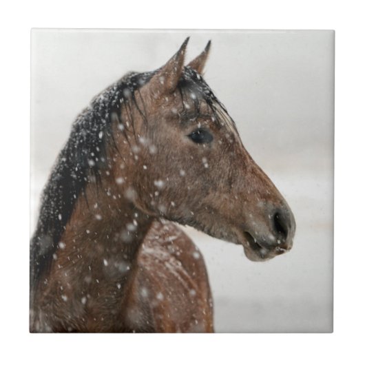 Schneehase im sanften Schnee Fliese (Vorderseite)