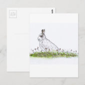 Schneehase Postkarte (Vorne/Hinten)