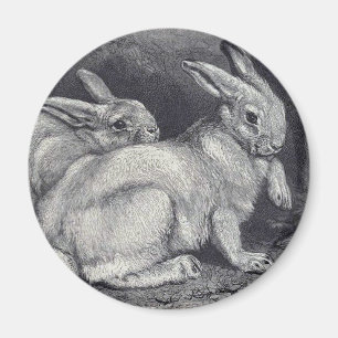 Schneehasen Magnet