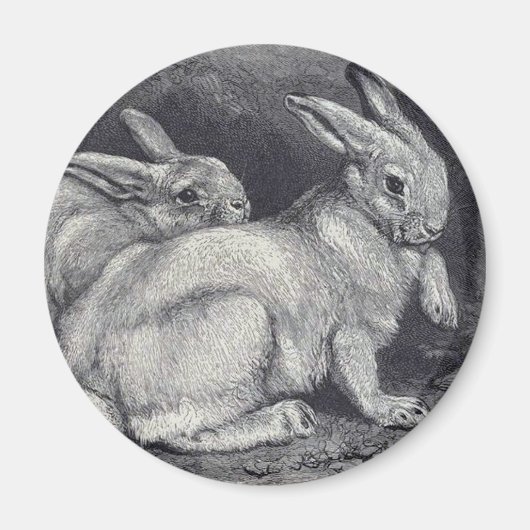 Schneehasen Magnet (Vorne)