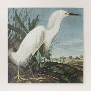 Schneeheron oder Weißer Egret von Vögeln Amerikas Puzzle