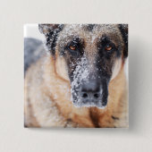 Schneehirte Button (Vorderseite)