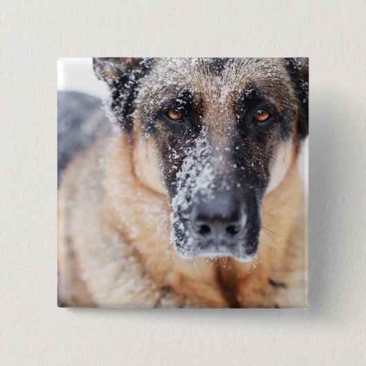Schneehirte Button (Vorderseite)