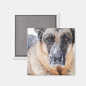Schneehirte Magnet (Vorderseite/Rückseite)
