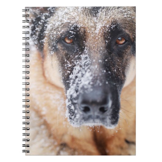 Schneehirte Notizblock (Vorderseite)