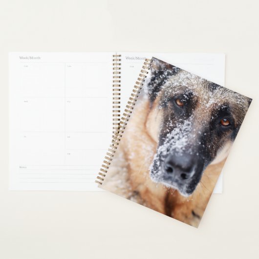 Schneehirte Planer (Anzeige)