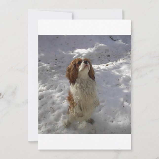 SchneeHöhle (Vorderseite)