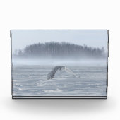 Schneehühner fliegen im Winter Fotoblock (Vorderseite)