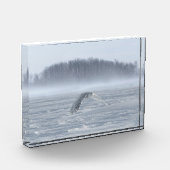 Schneehühner fliegen im Winter Fotoblock (Links)