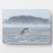 Schneehühner fliegen im Winter Fotoplatte (Vorderseite)