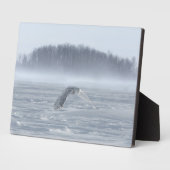 Schneehühner fliegen im Winter Fotoplatte (Seite)