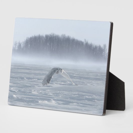 Schneehühner fliegen im Winter Fotoplatte (Seite)