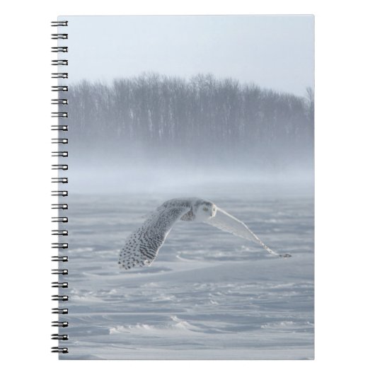 Schneehühner fliegen im Winter Notizblock (Vorderseite)