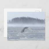 Schneehühner fliegen im Winter Postkarte (Vorne/Hinten)