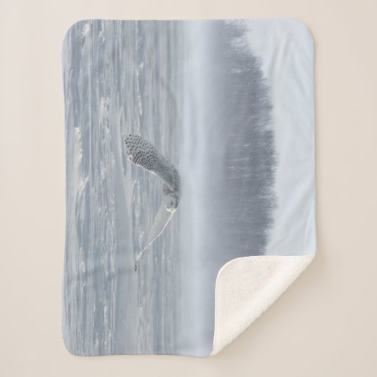 Schneehühner fliegen im Winter Sherpadecke (Vorderseite)