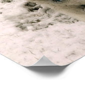 Schneehund 2 poster (Ecke)