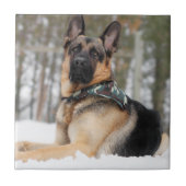 Schneehund Fliese (Vorderseite)