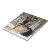 Schneehund Fliese (Seite)