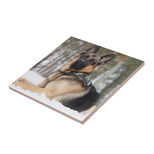 Schneehund Fliese (Seite)