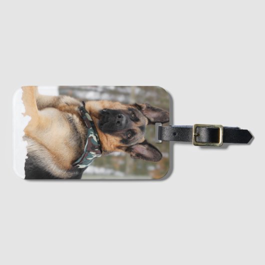 Schneehund Gepäckanhänger (Vorderseite (Horizontal))