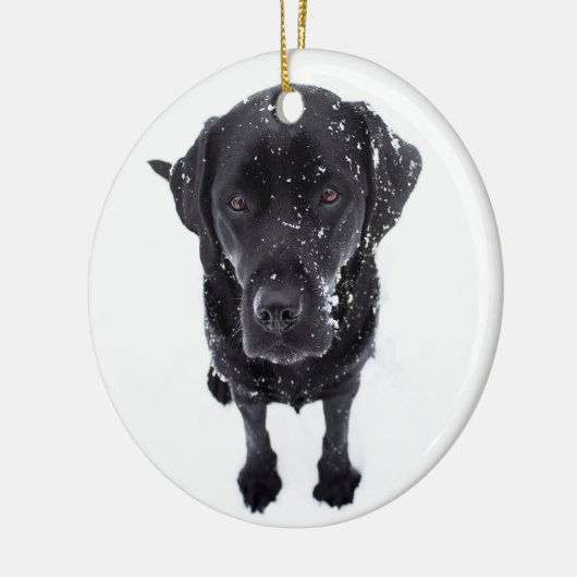 Schneehund - Labrador Puppy - Black Labrador Keramik Ornament (Links)