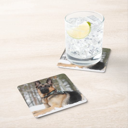 Schneehund Rechteckiger Pappuntersetzer (Vor Ort)