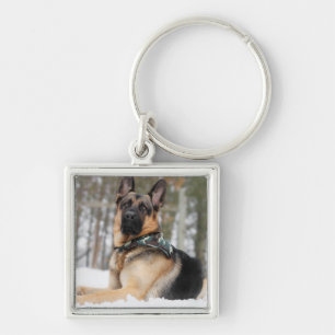 Schneehund Schlüsselanhänger