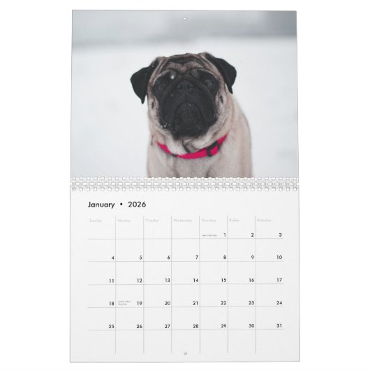 Schneehunde Kalender (Jan 2026)